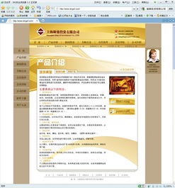 網(wǎng)站設(shè)計(jì)的關(guān)鍵要素 從網(wǎng)頁到整體用戶體驗(yàn)