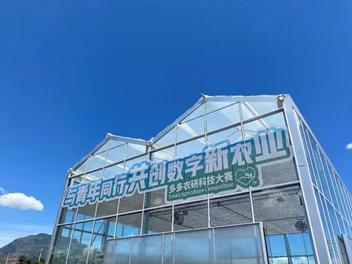 2024中國農產品電商發展報告 拼多多以人與技術雙輪驅動，培育新產品與技術開發